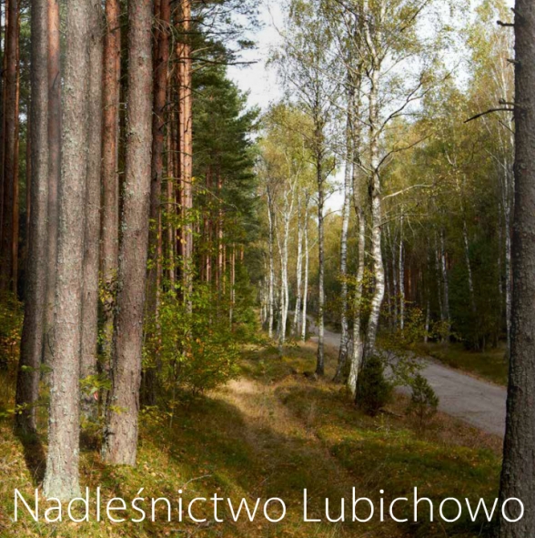 nadlenictwo_lubichowo
