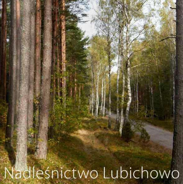 nadlenictwo_lubichowo