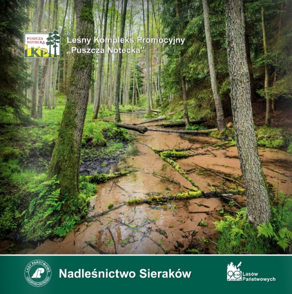 nadlenictwo_sierakw