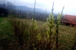 Zdjęcie na https://www.viapoland.com/ - portal informacyjny: Wiosna na przełęczy Biadasy