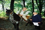 Zdjęcie na https://www.viapoland.com/ - portal informacyjny: Konie pod gwiazdami w Zakrzowie (2)
