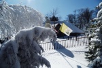 Zdjęcie na https://www.viapoland.com/ - portal informacyjny: Palmy na śniegu (Groń Jana Pawła II)