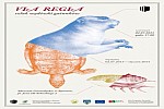 Zdjęcie na https://www.viapoland.com/ - portal informacyjny: Via regia – szlak wędrówki gatunków