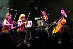 Zdjęcie na https://www.viapoland.com/ - portal informacyjny: XIII Międzynarodowy Festiwal Muzyka w Katedrze