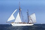 Zdjęcie na https://www.viapoland.com/ - portal informacyjny: Baltic Sail Gdańsk 2013, czyli zlot żaglowców, regaty i szanty