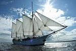 Zdjęcie na https://www.viapoland.com/ - portal informacyjny: Baltic Sail Gdańsk 2013, czyli zlot żaglowców, regaty i szanty