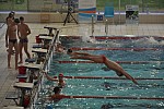 Zdjęcie na https://www.viapoland.com/ - portal informacyjny: Grand Prix-Puchar Polski w Pływaniu w Suwałkach