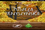 Zdjęcie na https://www.viapoland.com/ - portal informacyjny: Aplikacja mobilna Puszcza Knyszyńska