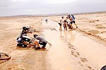 Zdjęcie na https://www.viapoland.com/ - portal informacyjny: Na dwóch kółkach przez saharyjskie piaski