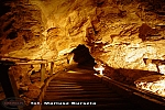 Zdjęcie na https://www.viapoland.com/ - portal informacyjny: Jaskinia Niedźwiedzia w Kletnie