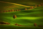 Zdjęcie na https://www.viapoland.com/ - portal informacyjny: Czeskie Morawy. Raj dla miłośników krajobrazu. Warsztaty fotograficzne z Tokiną