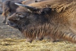 Zdjęcie na https://www.viapoland.com/ - portal informacyjny: List otwarty do zwiedzających wrocławskie zoo i sympatyków ogrodu