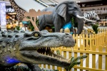 Zdjęcie na https://www.viapoland.com/ - portal informacyjny: Safari we Wroclavii. Spotkaj się oko w oko z dzikimi zwierzętami w centrum miasta