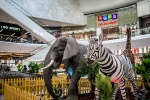 Zdjęcie na https://www.viapoland.com/ - portal informacyjny: Safari we Wroclavii. Spotkaj się oko w oko z dzikimi zwierzętami w centrum miasta