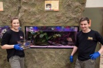 Zdjęcie na https://www.viapoland.com/ - portal informacyjny: We wrocławskim zoo można oglądać żaby z Titicaca. Otwarcie nowego akwarium  