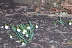 Zdjęcie na https://www.viapoland.com/ - portal informacyjny: Wiosna w kabarecie Loch Camelot