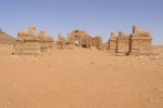 Zdjęcie na https://www.viapoland.com/ - portal informacyjny: W pustyni...  Nie w puszczy… 