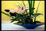 Zdjęcie na https://www.viapoland.com/ - portal informacyjny: Ikebana i miłość Keiro no hi