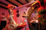 Zdjęcie na https://www.viapoland.com/ - portal informacyjny: Dla tych, co kochają flamenco!