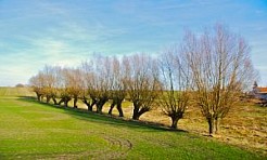 MELANŻ OSTATECZNY czyli GDAKK ma 42 lata