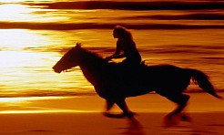 Konie, dziewki i kowboje - Sylwester w kinie Mikro