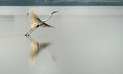 Oblicza Fotografii