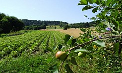 Światło Ocalenia  - Ojczyzna i Ojcowizna z Zagórnika - cz. 1