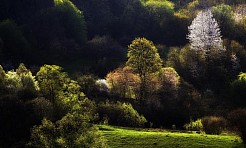 Warsztaty fotografii pejzażowej