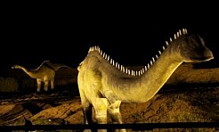 Noc Muzeów z dinozaurami