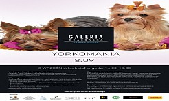 Yorkomania w Galerii Krakowskiej