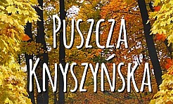 Aplikacja mobilna Puszcza Knyszyńska