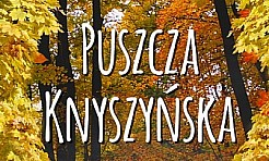 Aplikacja mobilna Puszcza Knyszyńska