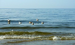 Zimą nad morze – bez zgiełku i ścisku