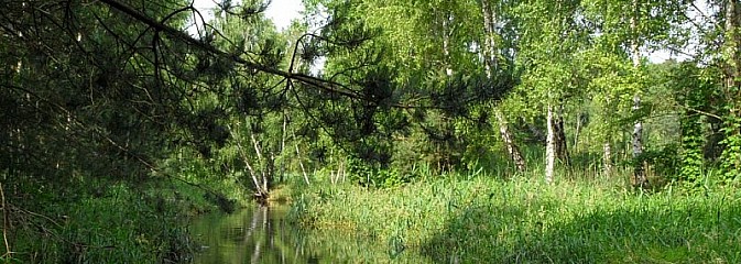 Questing - Zabawa i edukacja w jednym