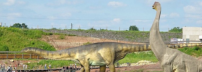Jurajska plaża na powitanie wakacji